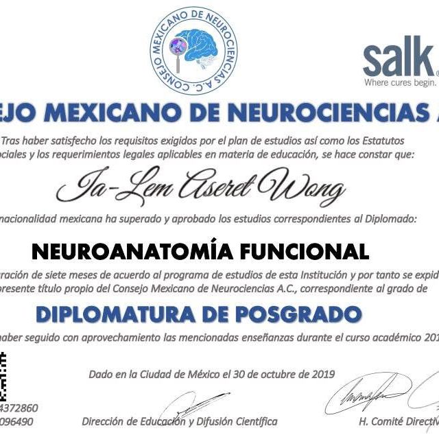 Ampliar imagen: certificate 3