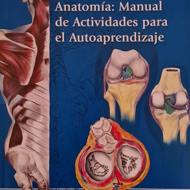 Ampliar imagen: certificate 6