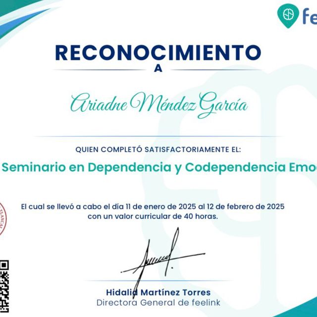 Ampliar imagen: certificate 5