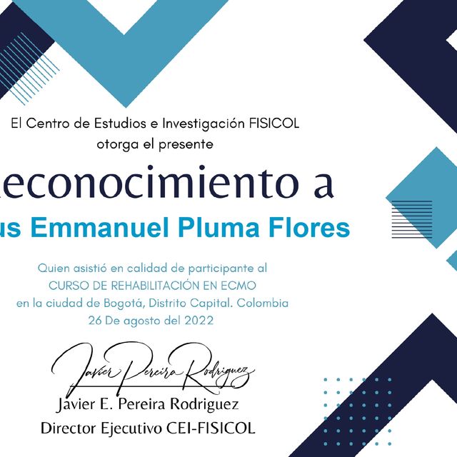 Ampliar imagen: certificate 3