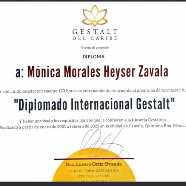 Ampliar imagen: certificate 2