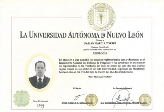 Ampliar imagen: certificate 1