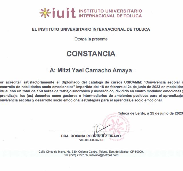 Ampliar imagen: certificate 1