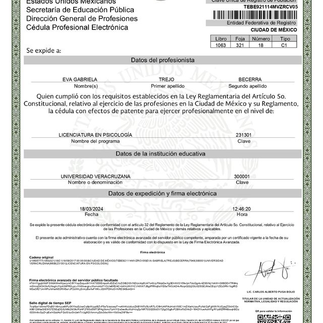 Ampliar imagen: certificate 5