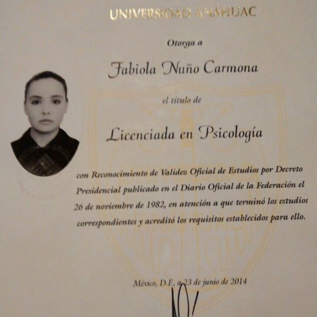 Ampliar imagen: certificate 4