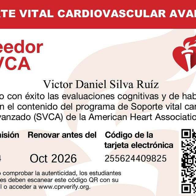 Ampliar imagen: certificate 2