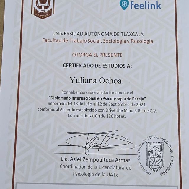 Ampliar imagen: certificate 3