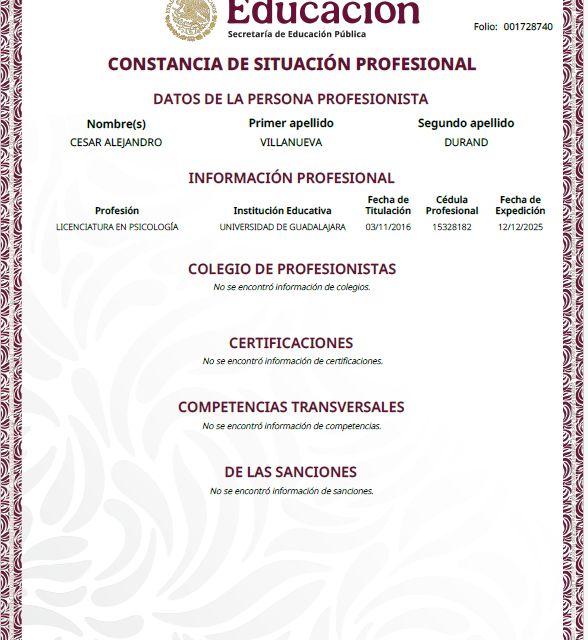 Ampliar imagen: certificate 6