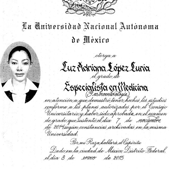 Ampliar imagen: certificate 5