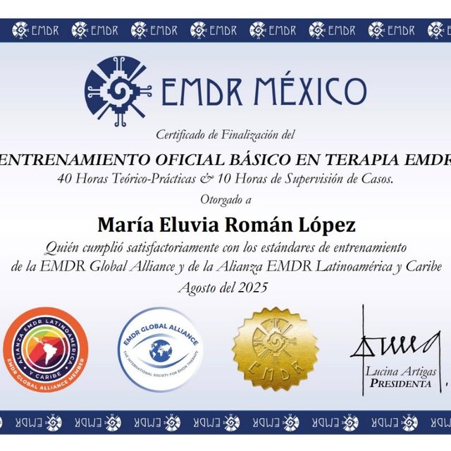 Ampliar imagen: certificate 7