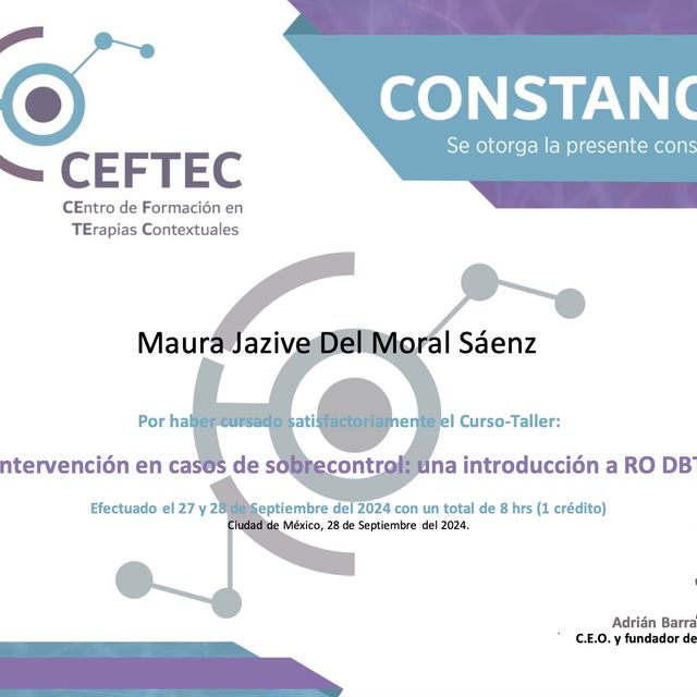 Ampliar imagen: certificate 28