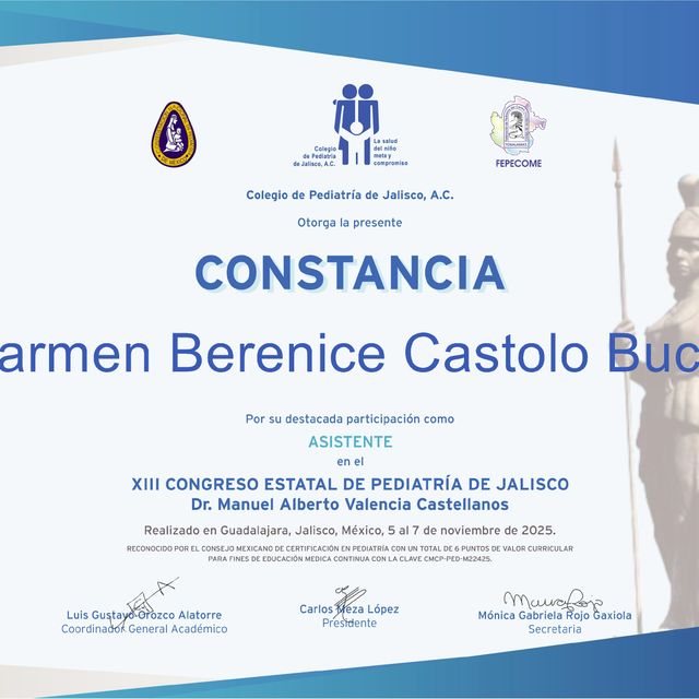 Ampliar imagen: certificate 5