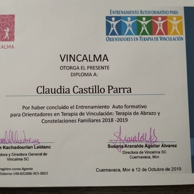 Ampliar imagen: certificate 1