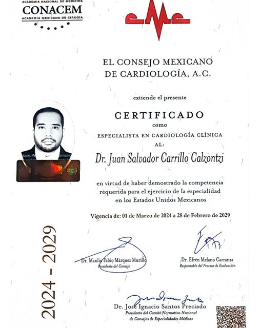 Ampliar imagen: certificate 1