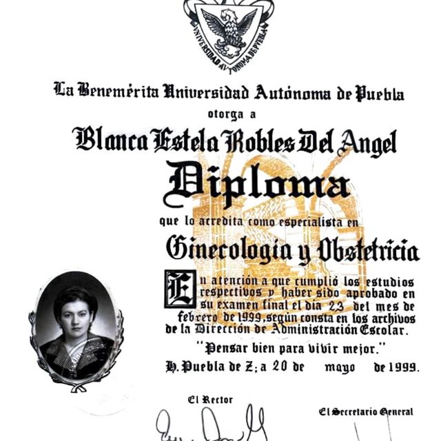 Ampliar imagen: certificate 1