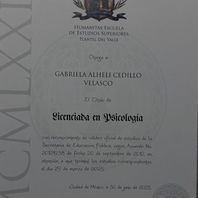 Ampliar imagen: certificate 8