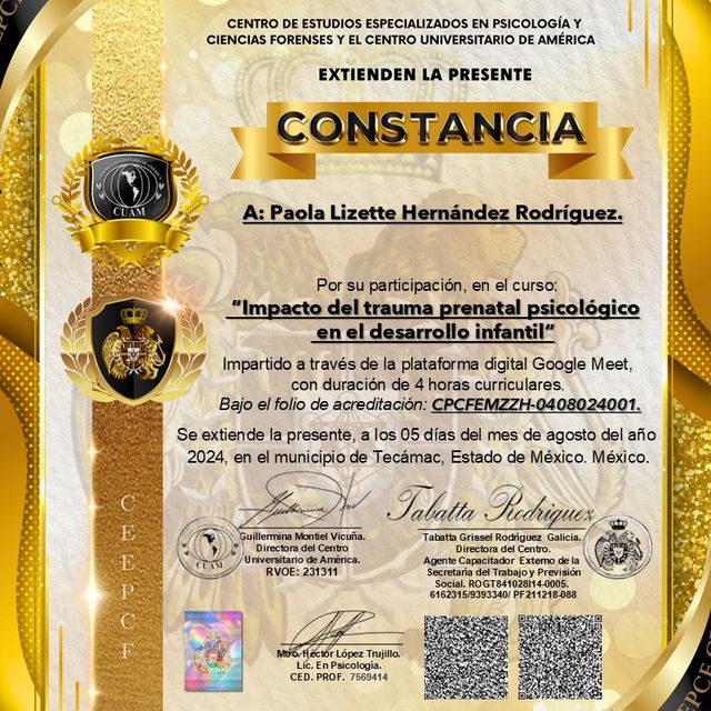 Ampliar imagen: certificate 1