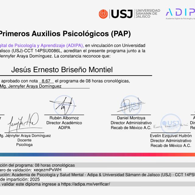 Ampliar imagen: certificate 6