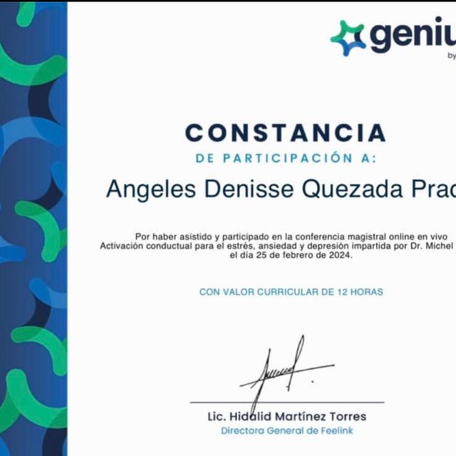 Ampliar imagen: certificate 17