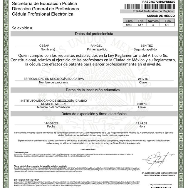 Ampliar imagen: certificate 1