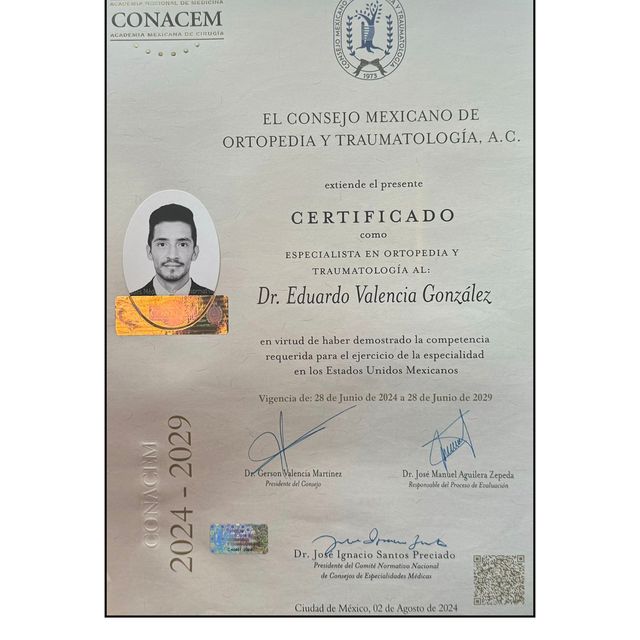 Ampliar imagen: certificate 3