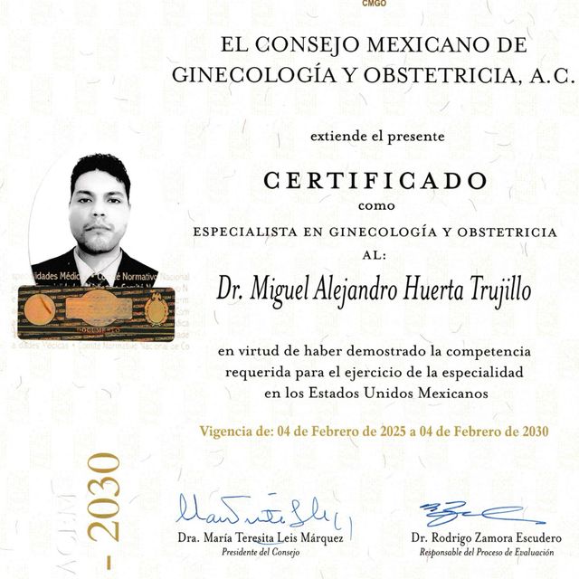 Ampliar imagen: certificate 1