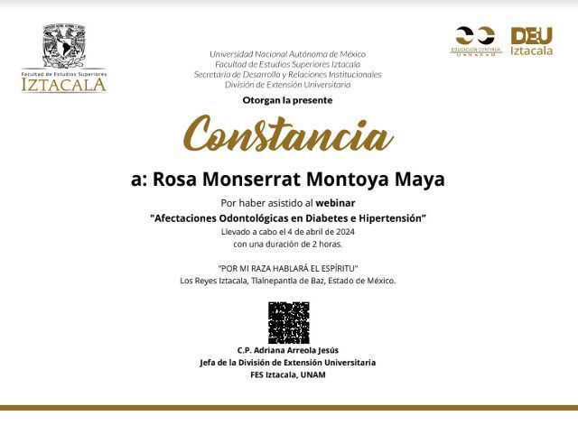 Ampliar imagen: certificate 2