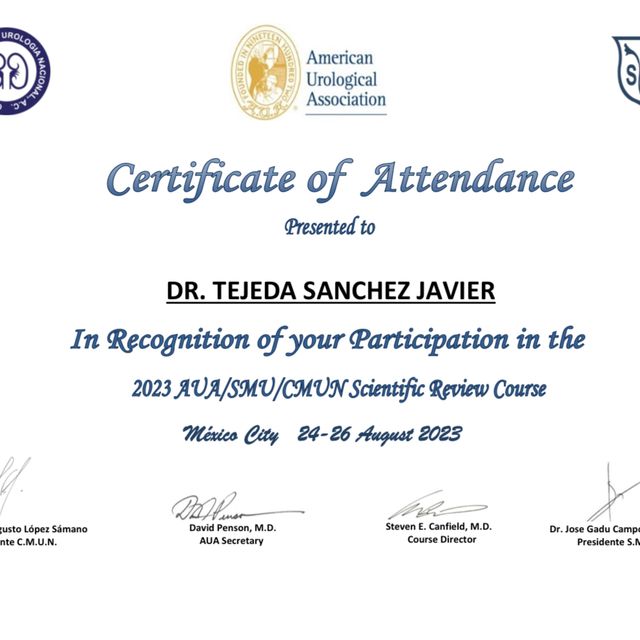 Ampliar imagen: certificate 2