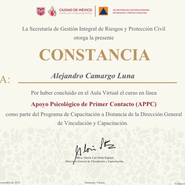 Ampliar imagen: certificate 3