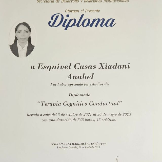Ampliar imagen: certificate 2