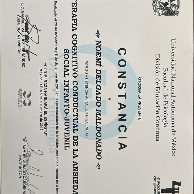 Ampliar imagen: certificate 1