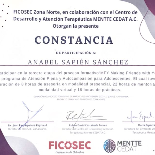 Ampliar imagen: certificate 2