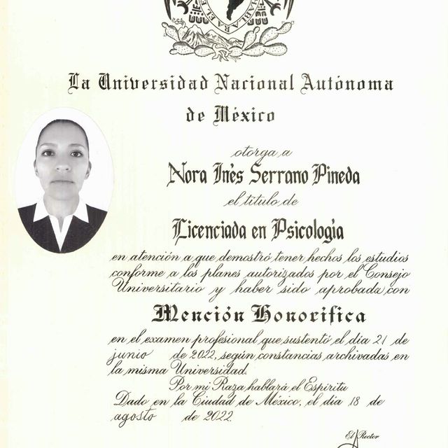Ampliar imagen: certificate 1