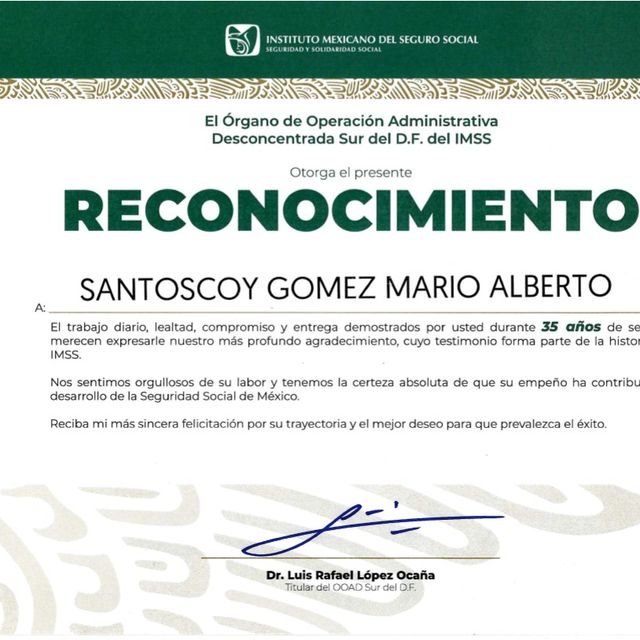 Ampliar imagen: certificate 7