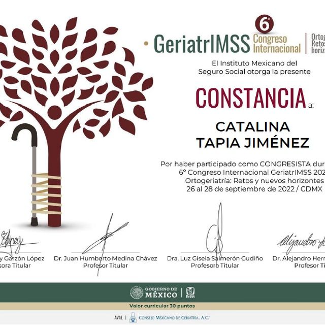 Ampliar imagen: certificate 10