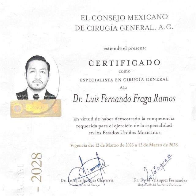 Ampliar imagen: certificate 2
