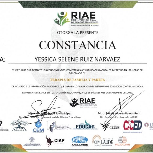 Ampliar imagen: certificate 9