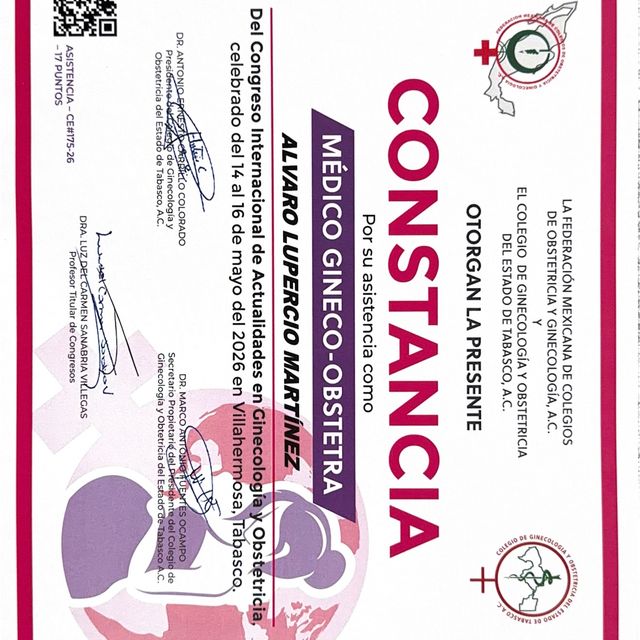 Ampliar imagen: certificate 26