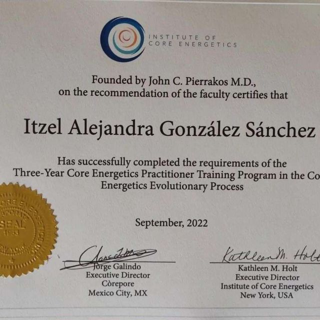Ampliar imagen: certificate 5