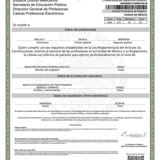 Ampliar imagen: certificate 7