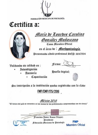 Ampliar imagen: certificate 7