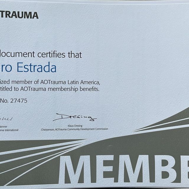 Ampliar imagen: certificate 6