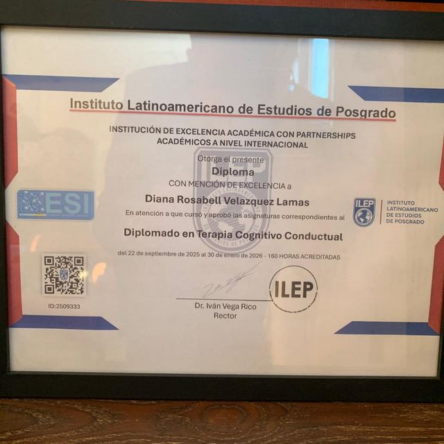 Ampliar imagen: certificate 4