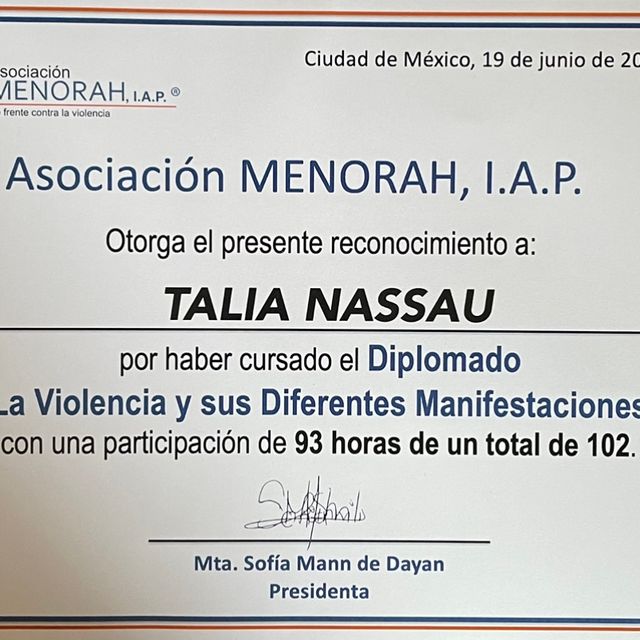 Ampliar imagen: certificate 3
