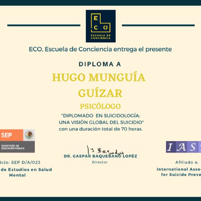 Ampliar imagen: certificate 17