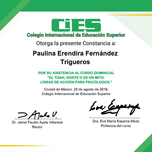 Ampliar imagen: certificate 1