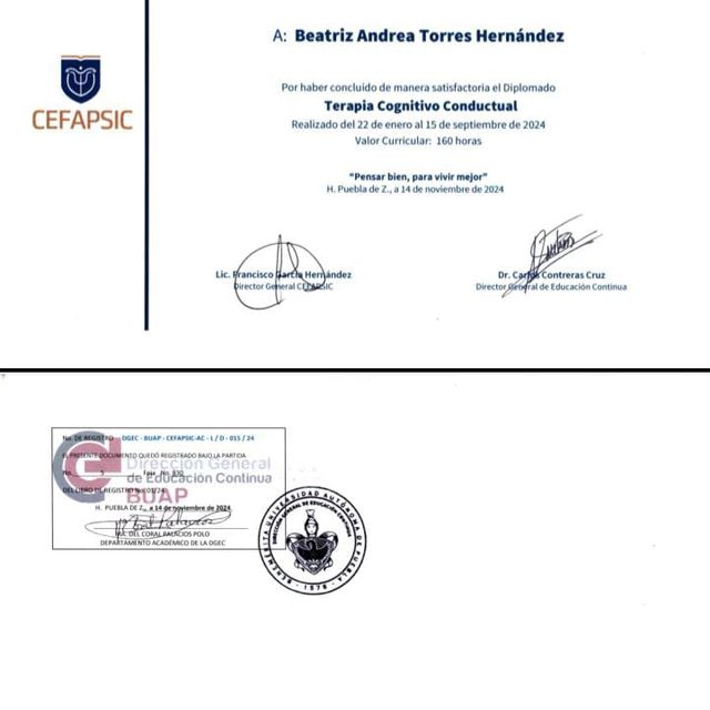 Ampliar imagen: certificate 1