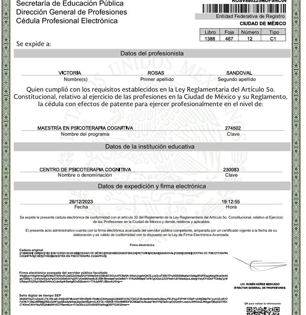 Ampliar imagen: certificate 14