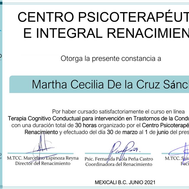 Ampliar imagen: certificate 5