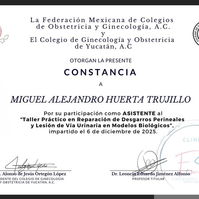 Ampliar imagen: certificate 7